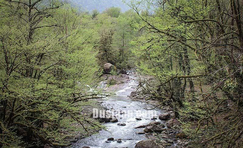 اخبار,انعکاس, طبیعت بهاری چابکسر