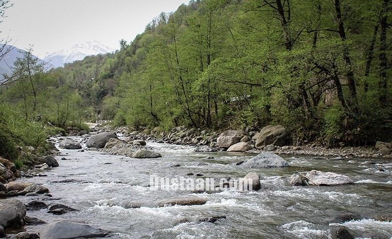 اخبار,انعکاس, طبیعت بهاری چابکسر