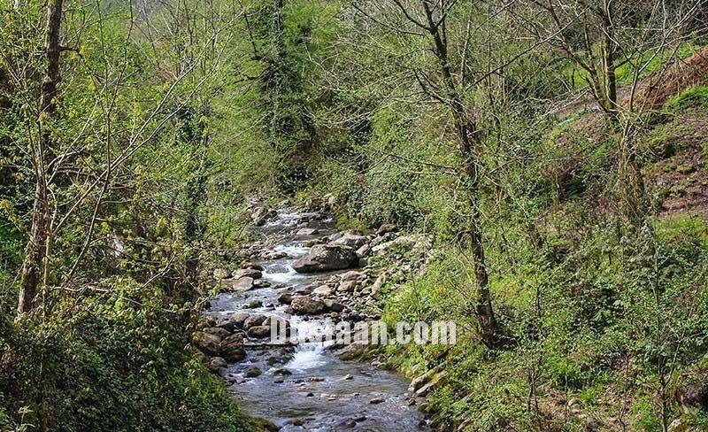 اخبار,انعکاس, طبیعت بهاری چابکسر