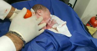 تولد نوزاد عجول دانمارکی در آمبولانس