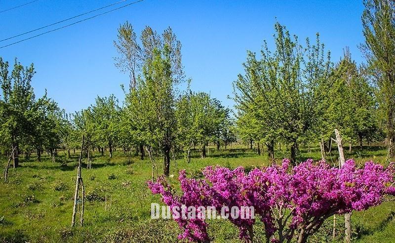 اخبار,انعکاس,طبیعت رودسر