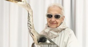 پیرزن ۹۵ ساله در دنیای مد و لباس