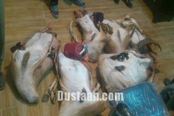اخبارحوادث,خبرهای حوادث ,حوادث روز اخبار حوادث,خبرهای حوادث ,حوادث روز