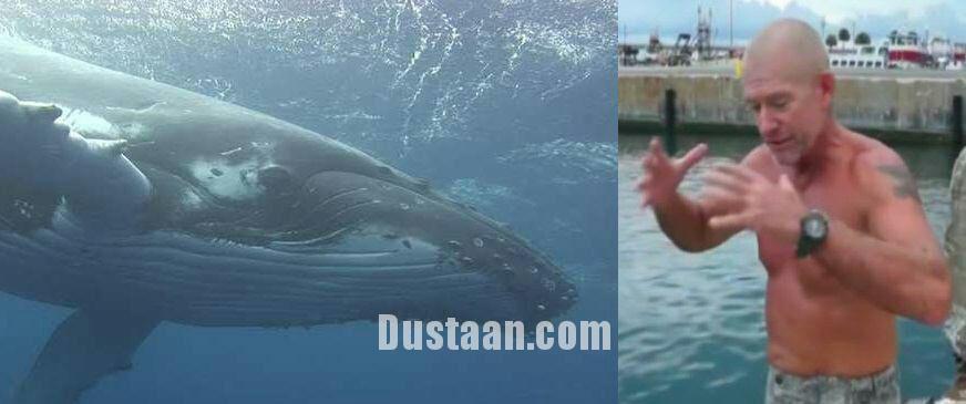 نهنگ یک صیاد را بلعید