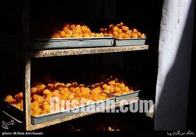 استقبال از ماه مبارک رمضان/تصاویر