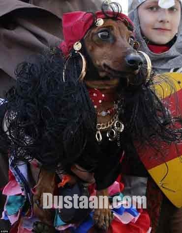   اخبارگوناگون,خبرهای  گوناگون,رژه پاکوتاه ها