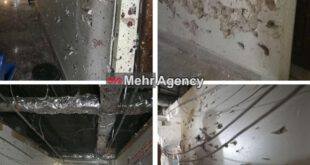 تصاویری از آثار حمله تروریستی به مجلس