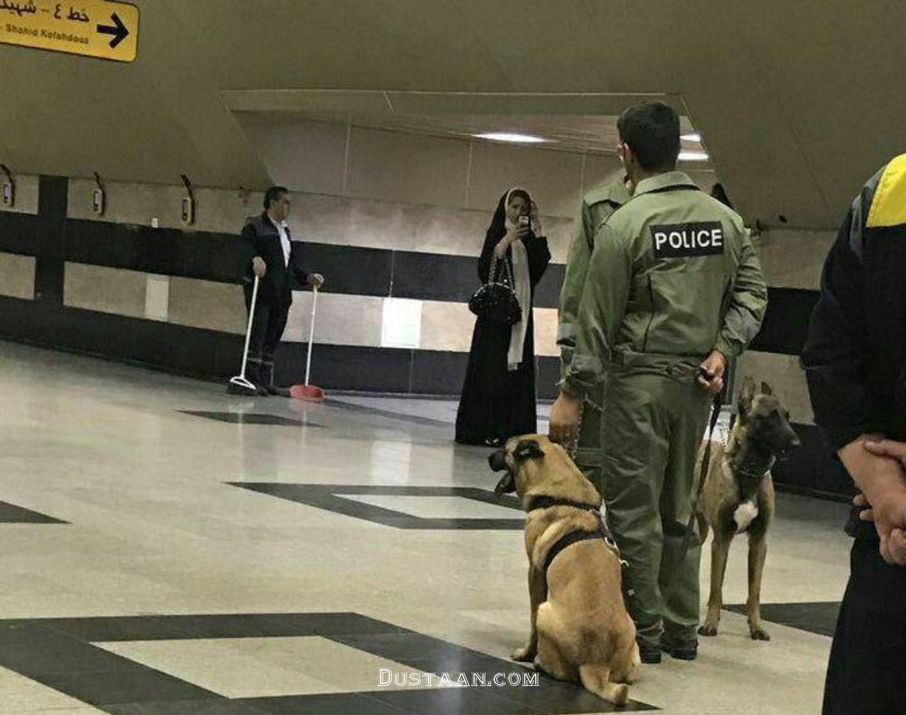  سگ پلیس در متروی ولیعصر