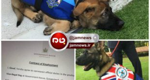 اخراج یک سگ از اداره پلیس به علت مهربان بودن