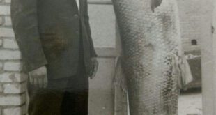 صید ماهی عجیب از کارون پنجاه سال قبل