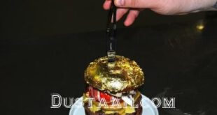 همبرگر ۲۵۰۰ دلاری هلندی ها با روکشی از طلا/ تصاویر