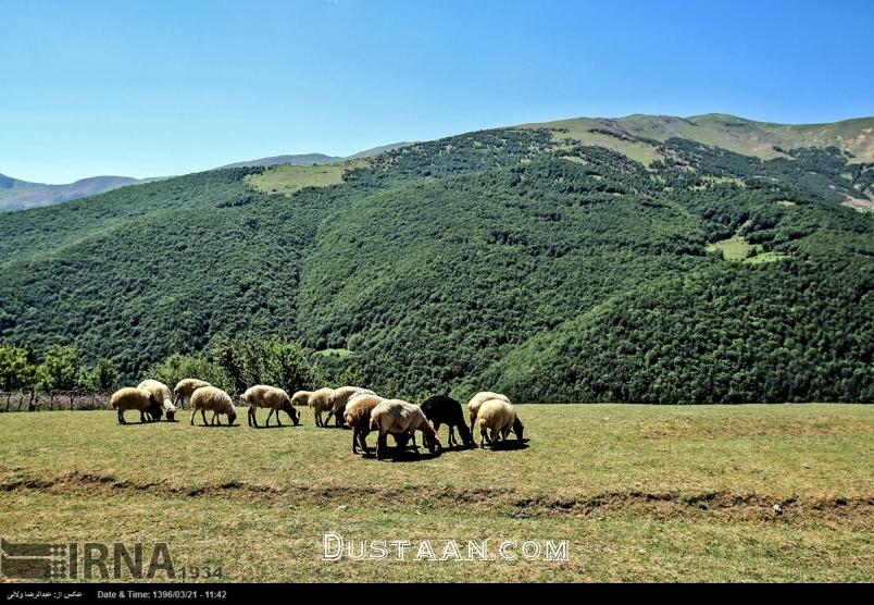 طبیعت جاده گردشگری خلخال - اسالم طبیعت جاده گردشگری خلخال - اسالم