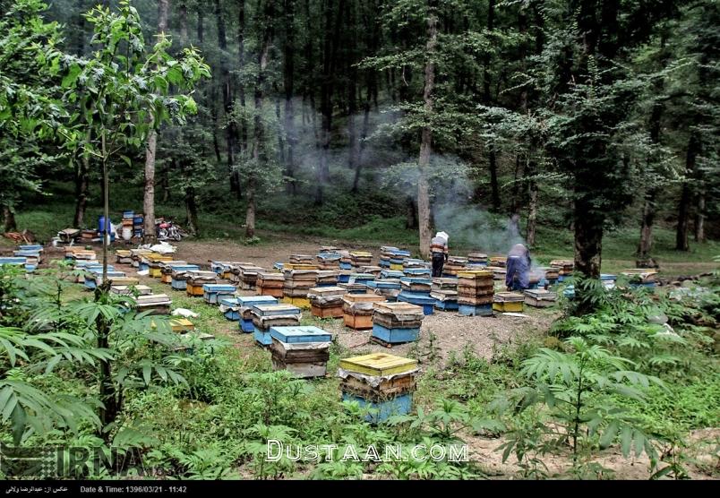 طبیعت جاده گردشگری خلخال - اسالم طبیعت جاده گردشگری خلخال - اسالم