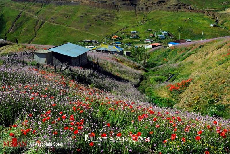 تصاویر: رویاییترین جاده طبیعتگردی کشور تصاویر: رویاییترین جاده طبیعتگردی کشور
