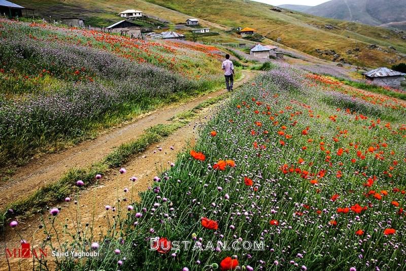 تصاویر: رویاییترین جاده طبیعتگردی کشور تصاویر: رویاییترین جاده طبیعتگردی کشور