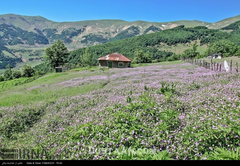 طبیعت جاده گردشگری خلخال - اسالم طبیعت جاده گردشگری خلخال - اسالم