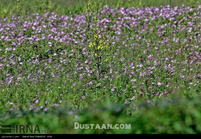 طبیعت جاده گردشگری خلخال - اسالم طبیعت جاده گردشگری خلخال - اسالم