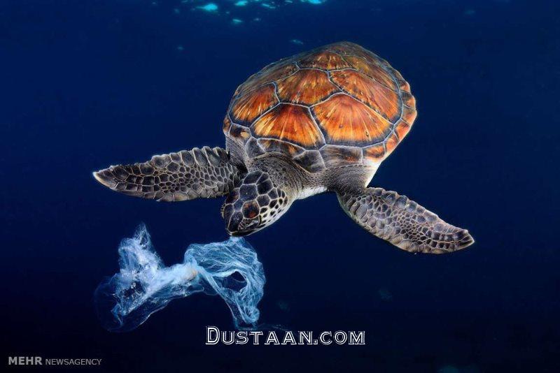 تصاویر: فاجعه زباله‌های پلاستیکی‎