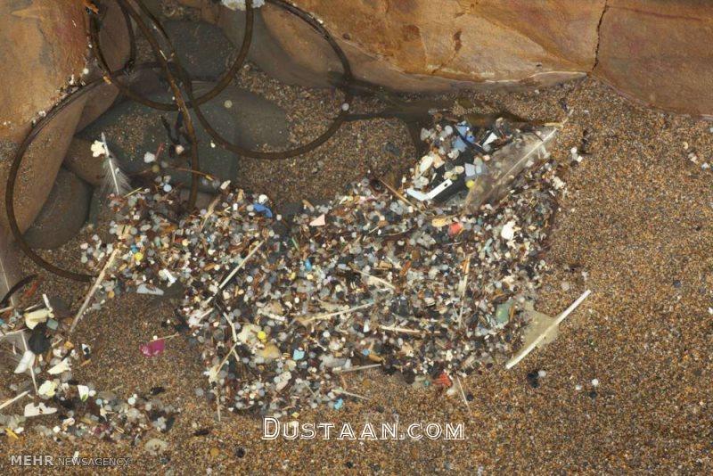 تصاویر: فاجعه زباله‌های پلاستیکی‎