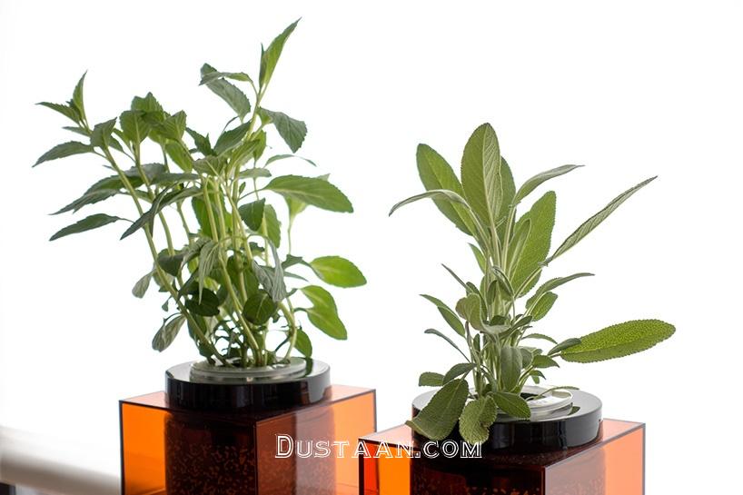 اخبارعلمی ,خبرهای علمی, گلدانهای فضایی ناسا اخبارعلمی ,خبرهای علمی, گلدانهای فضایی ناسا