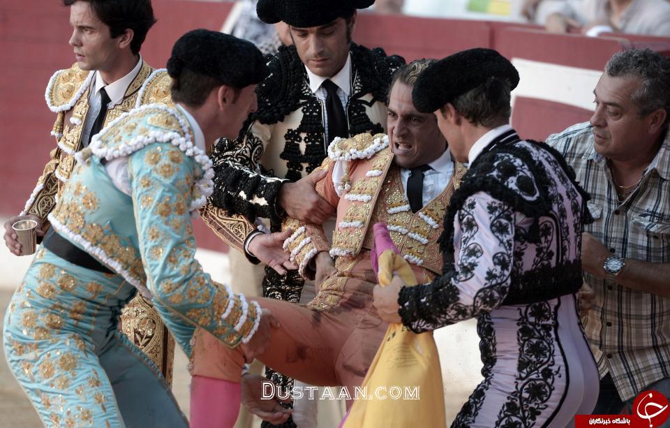 مرگ گاوباز حرفه‌ای مقابل چشمان تماشاچیان =