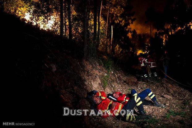 آتش سوزی در جنگل های پرتغال‎/تصاویر
