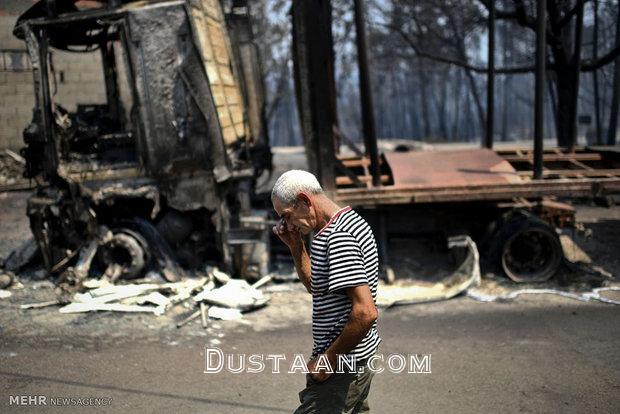 آتش سوزی در جنگل های پرتغال‎/تصاویر