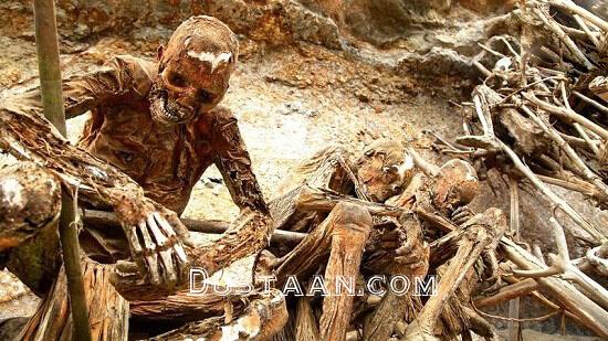 اخبار,اخبار گوناگون,مومیایی