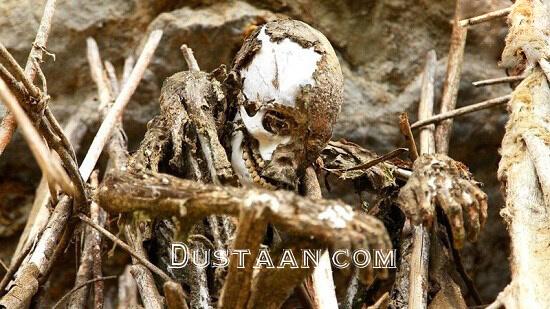 اخبار,اخبار گوناگون,مومیایی