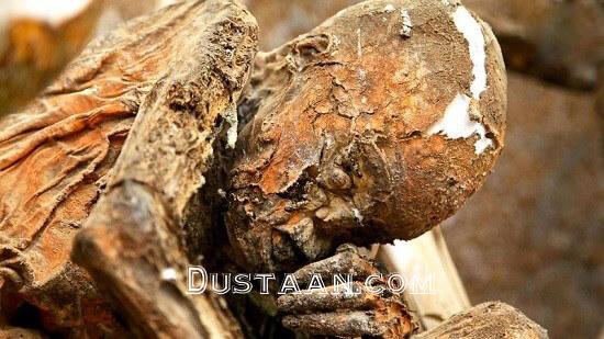 اخبار,اخبار گوناگون,مومیایی