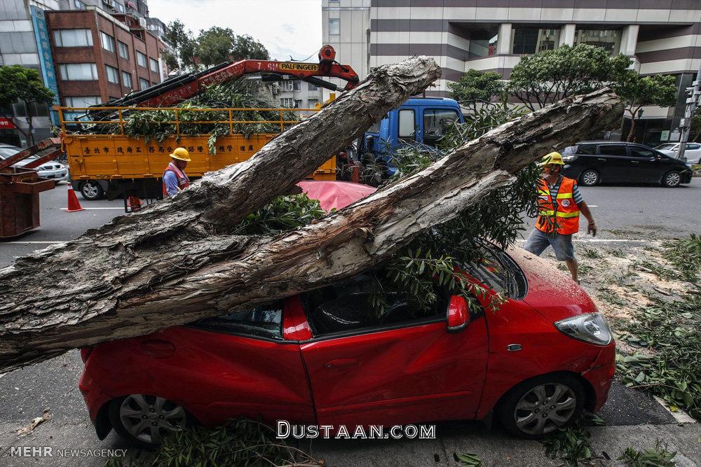 اخبار,عکس خبری,طوفان نسات در تایوان