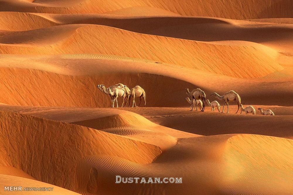 اخبار گوناگون,خبرهای  گوناگون , بیابان‌های دبی