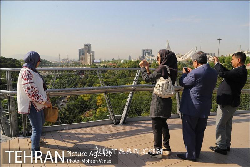 اخبار,اخبار اجتماعی,گشت و گذار خانم شهردار در تهران