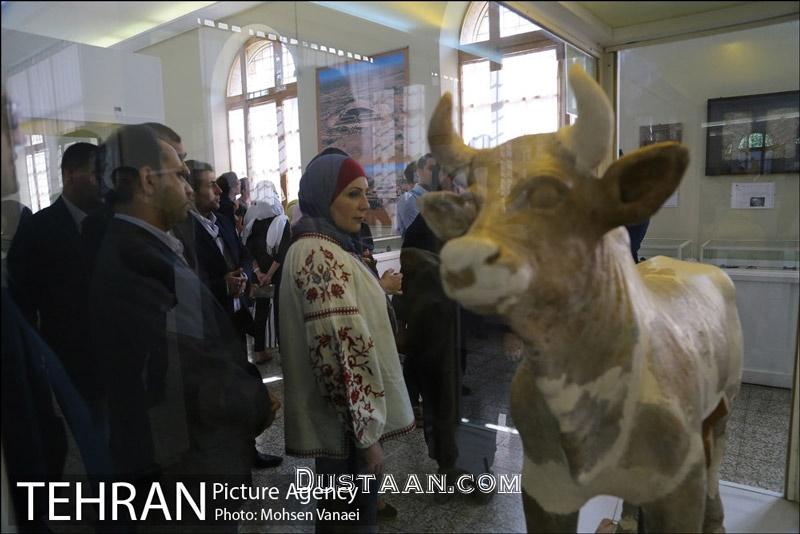 اخبار,اخبار اجتماعی,گشت و گذار خانم شهردار در تهران