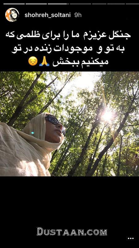 اخبار فرهنگی,اخبار هنرمندان,اخبار بازیگران