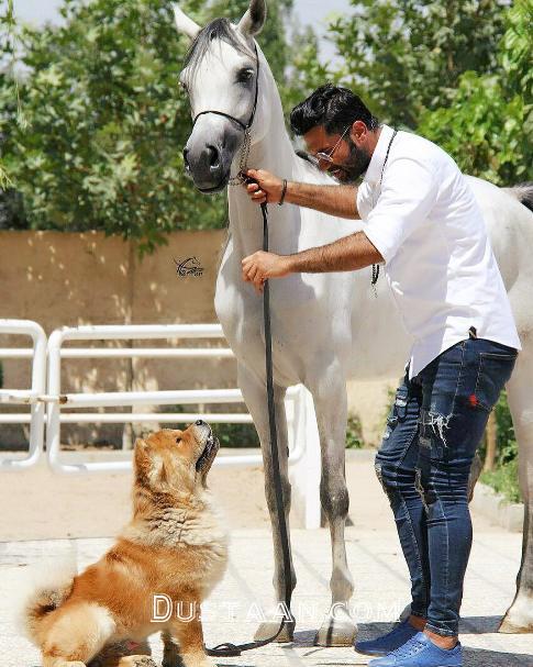 علیرضا واحدی نیکبخت