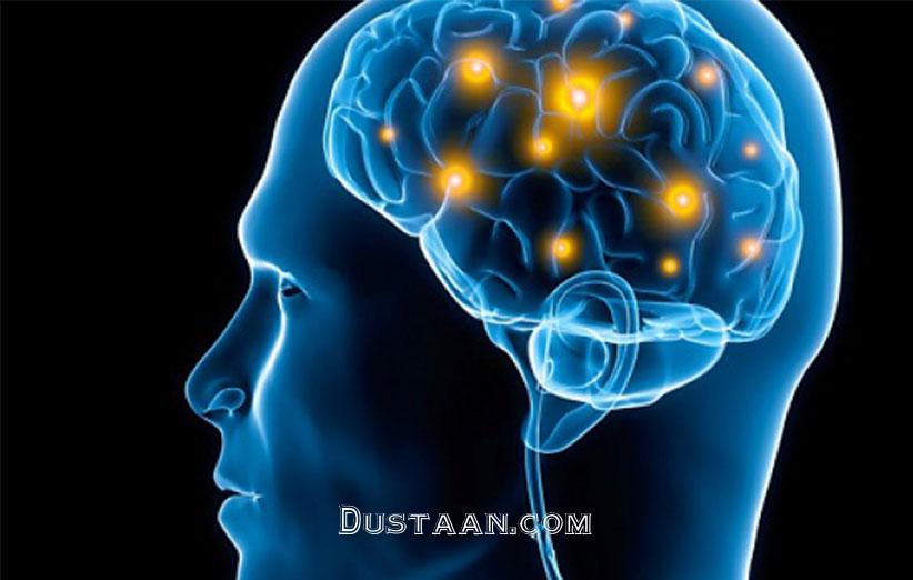 https://www.digikala.com/mag/wp-content/uploads/2016/01/human-brain1.jpg