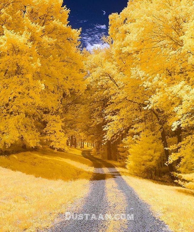https://scontent-mxp1-1.cdninstagram.com/t51.2885-15/sh0.08/e35/p640x640/21577125_905834619571771_7759284669958324224_n.jpg