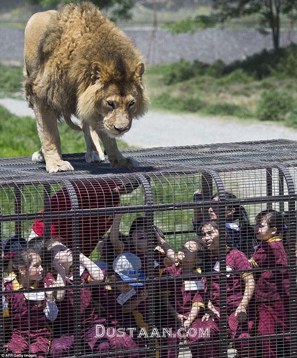 http://24.ae/images/template/1.1.4/zoo/1414771107917_wps_21_Children_inside_a_cage_wa.jpg