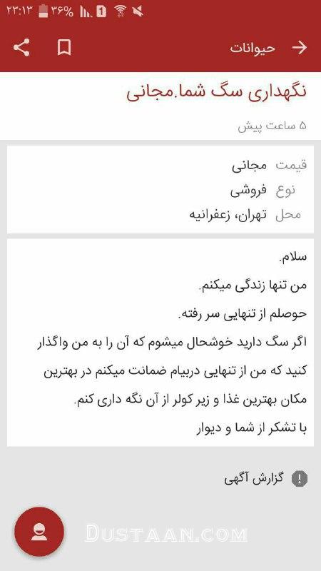 پرستاری از سگ، شغل جدید دختر جوان