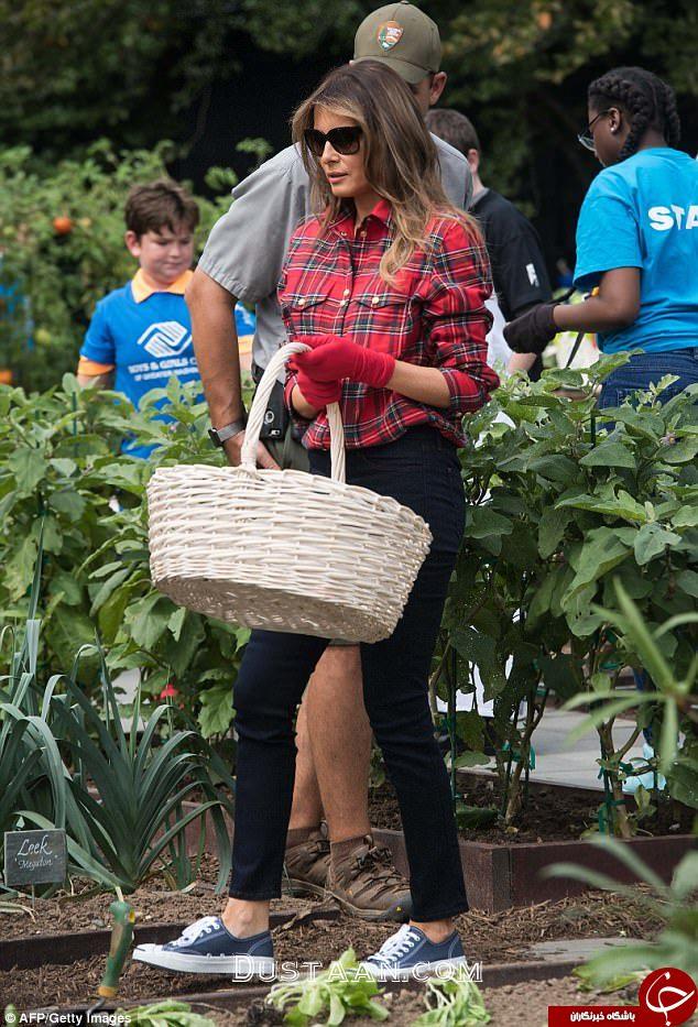 لباس گرانقیمت ملانیا ترامپ هنگام باغبانی+تصاویر