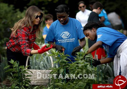 تصاویر هفته: از وقوع زمین لرزه مهیب مکزیک تا سخنرانی ترامپ در مجمع عمومی سازمان ملل