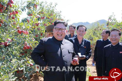 تصاویر هفته: از وقوع زمین لرزه مهیب مکزیک تا سخنرانی ترامپ در مجمع عمومی سازمان ملل