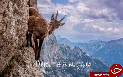 تصاویر هفته: از وقوع زمین لرزه مهیب مکزیک تا سخنرانی ترامپ در مجمع عمومی سازمان ملل