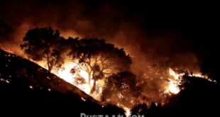 آتش سوزی 2 هزار هکتاری در جنگل های کالیفرنیا +تصاویر