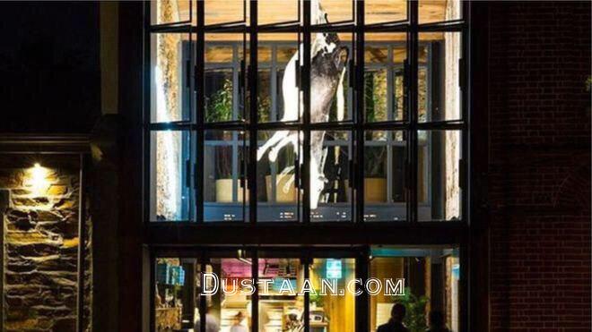 جنجال بر سر گاو آویزان در رستوران