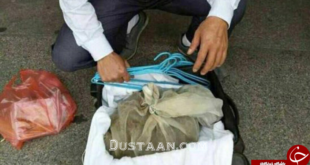 دستگیری مرد حامل 50 مار افعی با چمدان! تصاویر