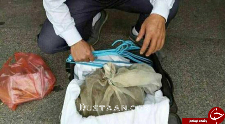 دستگیری مرد حامل 50 مار افعی با چمدان! تصاویر