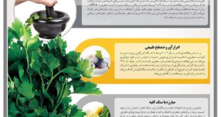 دفع سریع سنگ کلیه با یک سبزی پرخاصیت+ اینفوگرافی