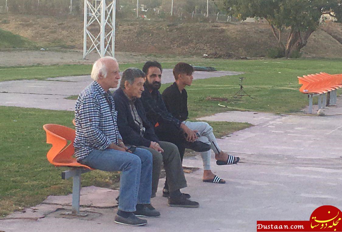 مهدی قائدی از استقلال اخراج شد/شفر گربه را دم حجله کشت